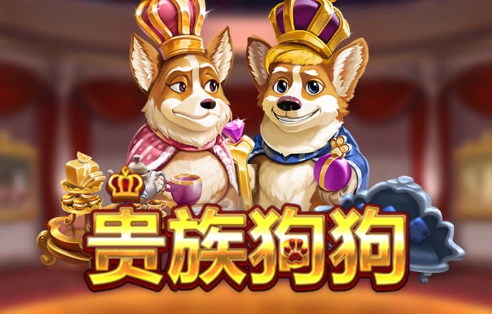 3y体育app